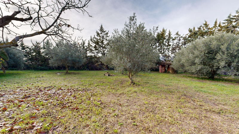 Fincas y solares-Venta-Tafalla-1509104-Foto-21