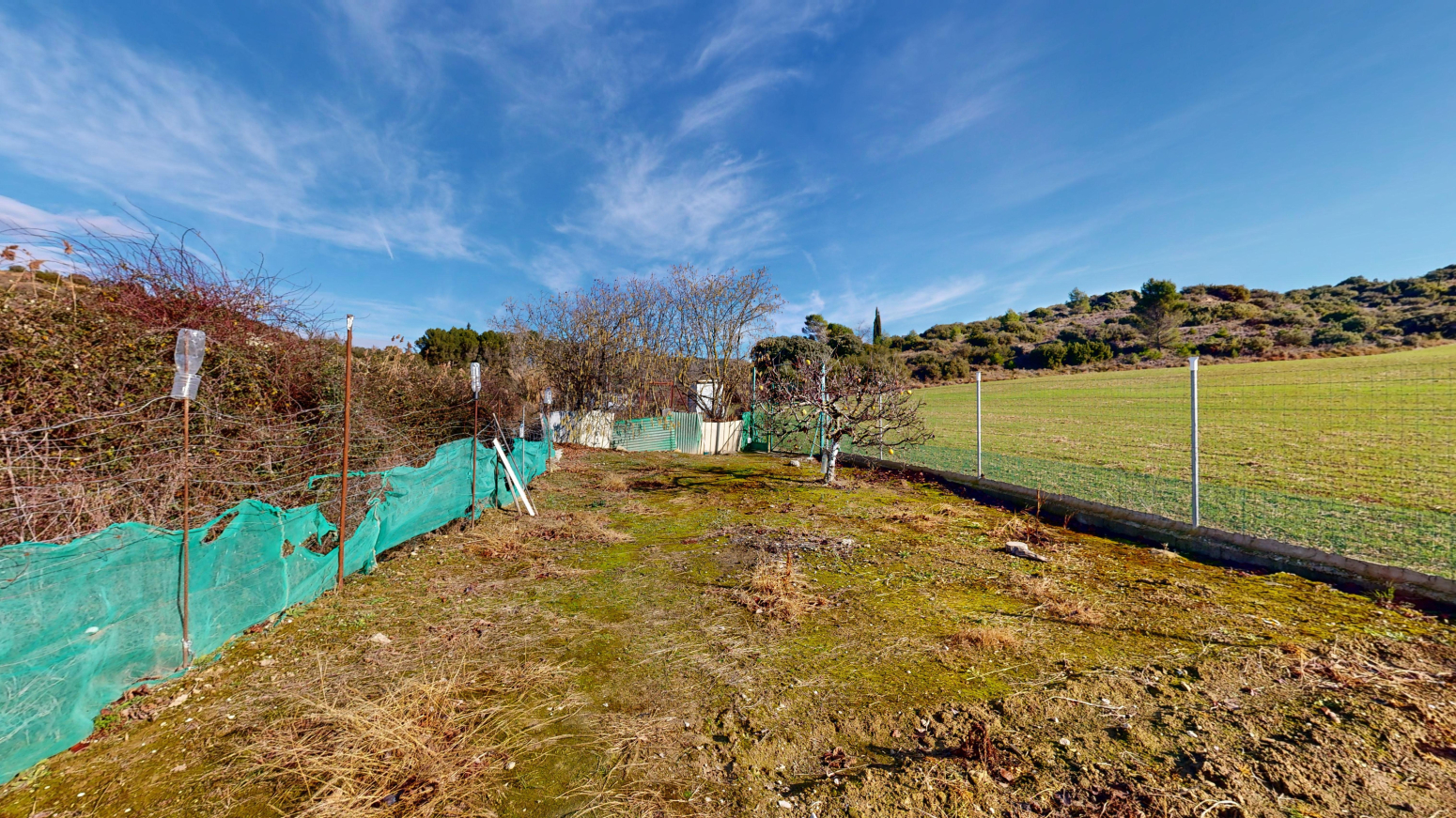 Fincas y solares-Venta-Tafalla-1583494-Foto-13
