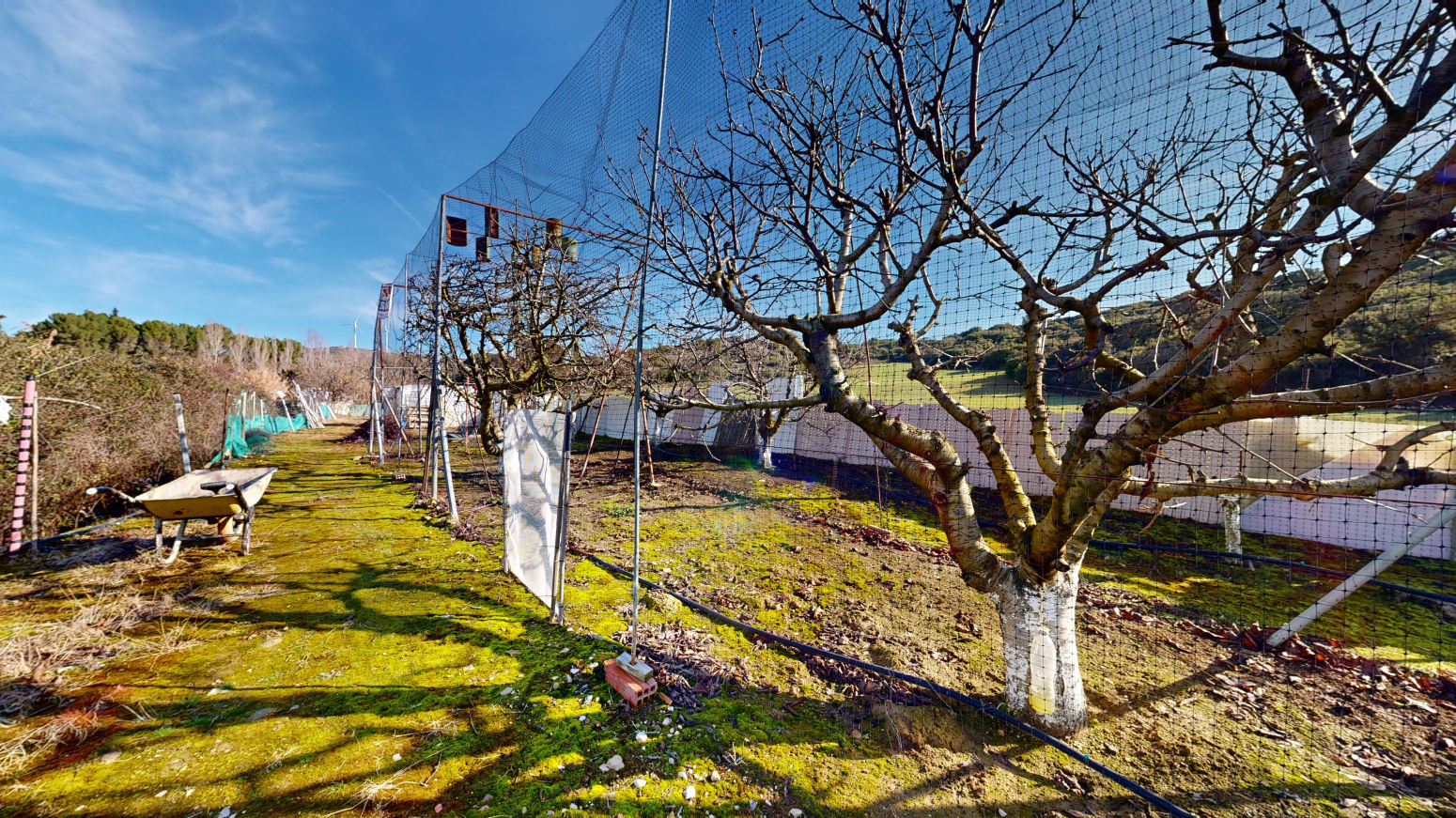 Fincas y solares-Venta-Tafalla-1583494-Foto-22