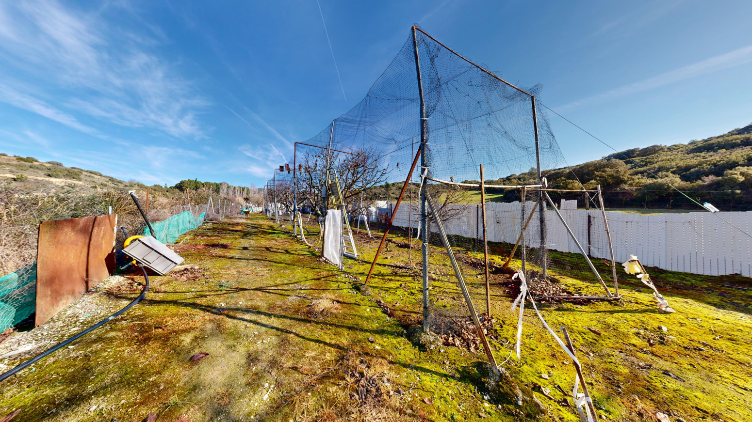 Fincas y solares-Venta-Tafalla-1583494-Foto-23
