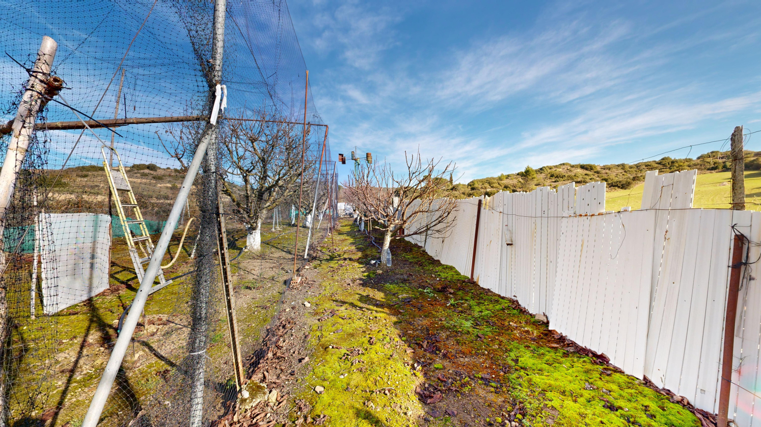 Fincas y solares-Venta-Tafalla-1583494-Foto-44