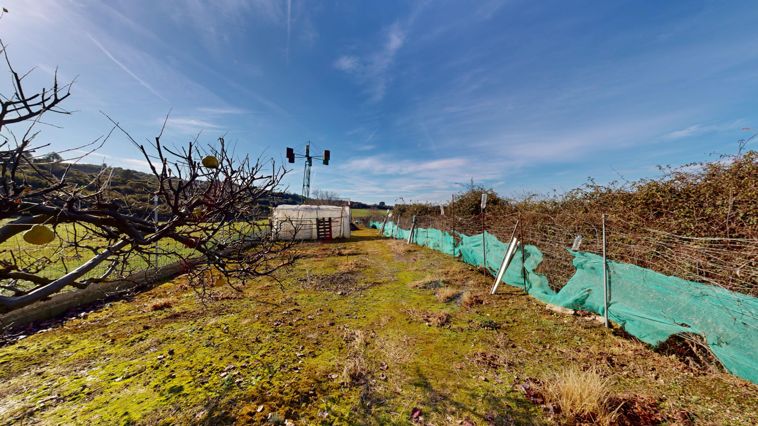 Fincas y solares-Venta-Tafalla-1583494-Foto-9