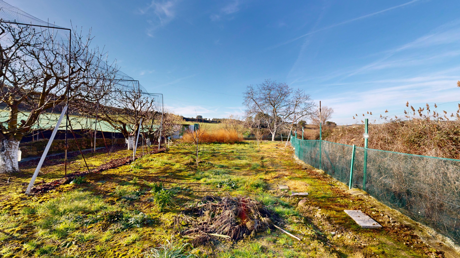 Fincas y solares-Venta-Tafalla-1583494-Foto-3