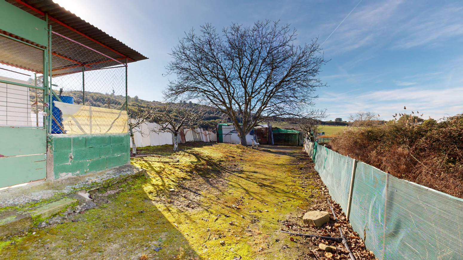 Fincas y solares-Venta-Tafalla-1583494-Foto-26