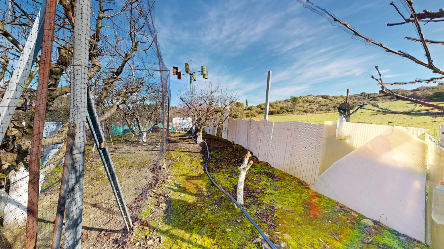 Fincas y solares-Venta-Tafalla-1583494-Foto-46