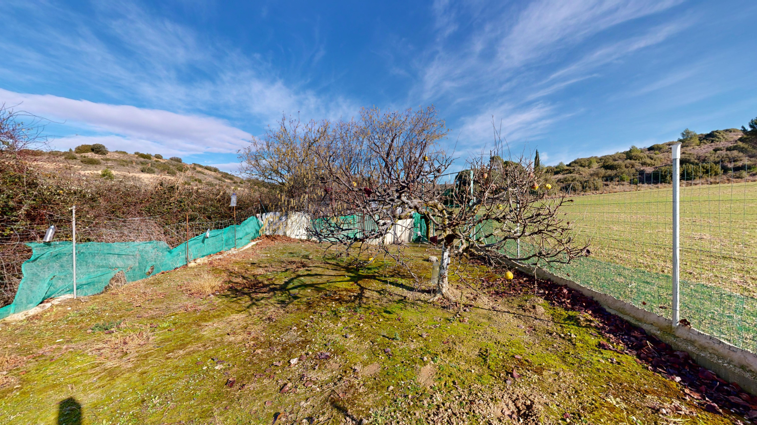 Fincas y solares-Venta-Tafalla-1583494-Foto-12