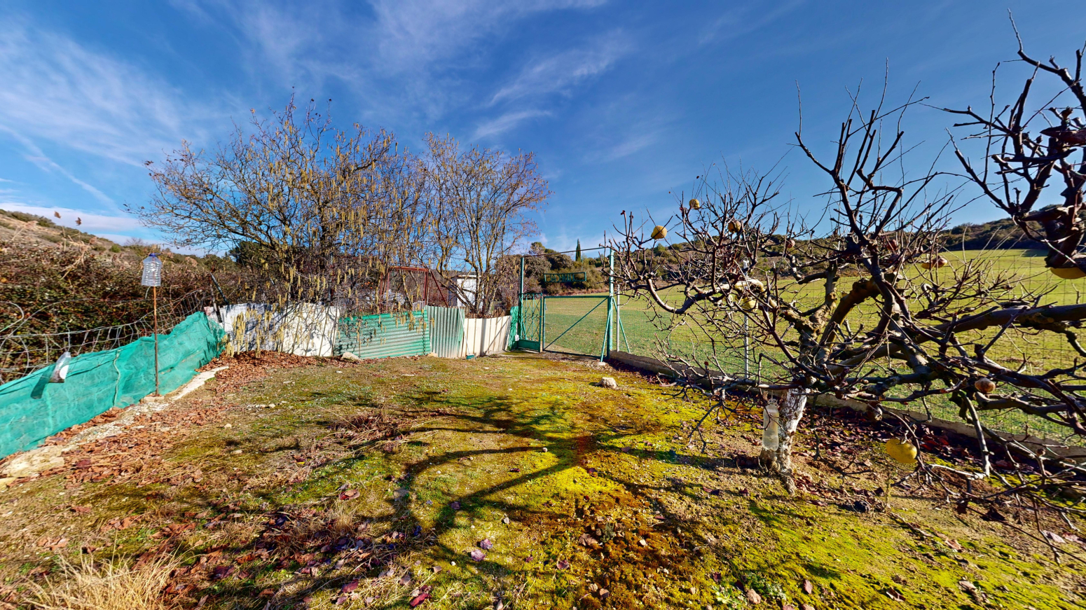 Fincas y solares-Venta-Tafalla-1583494-Foto-11