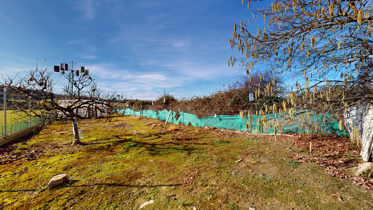 Fincas y solares-Venta-Tafalla-1583494-Foto-8