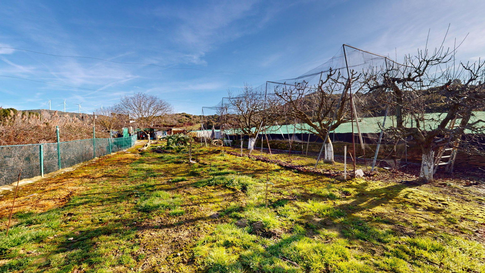 Fincas y solares-Venta-Tafalla-1583494-Foto-39