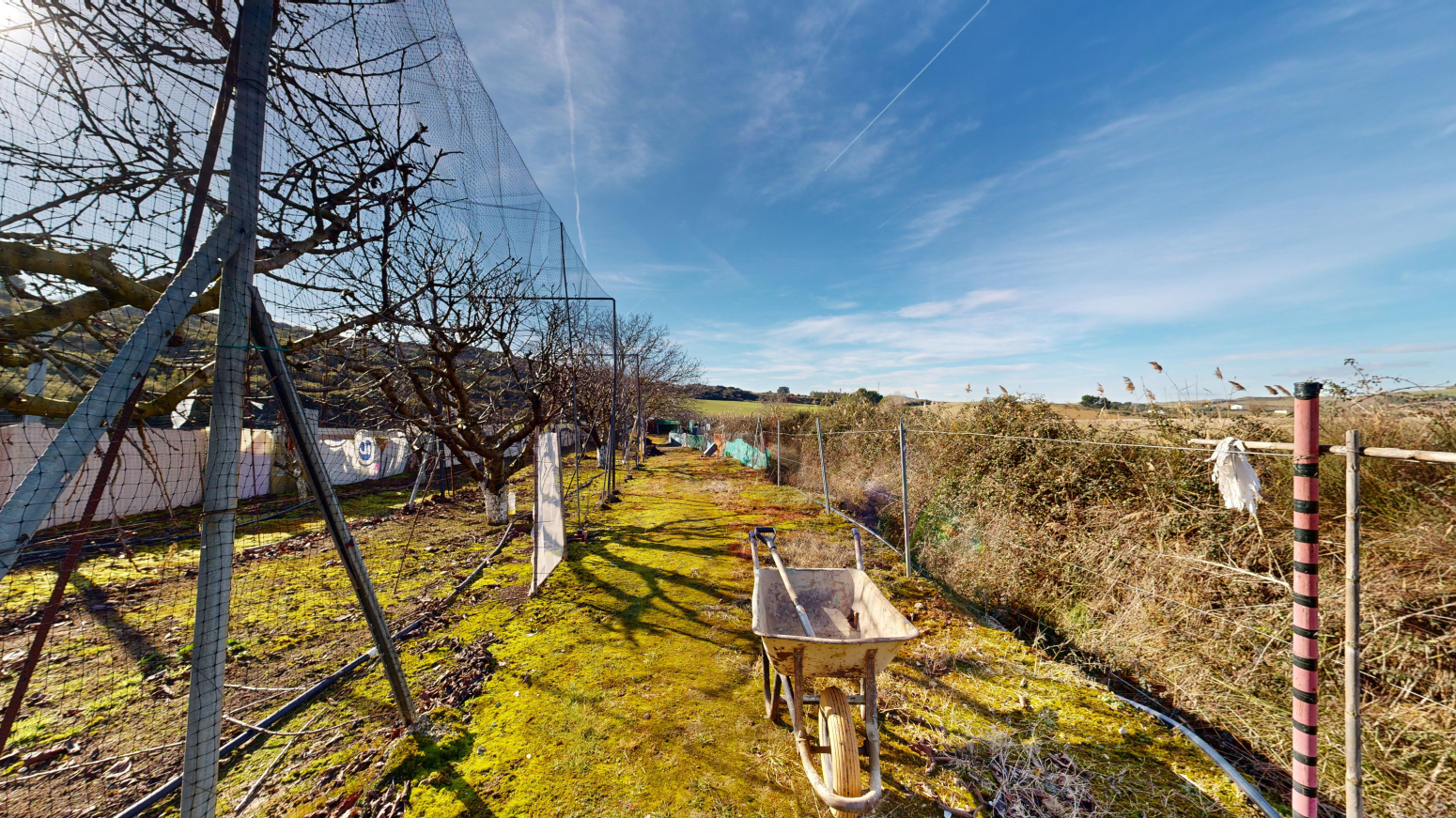 Fincas y solares-Venta-Tafalla-1583494-Foto-19
