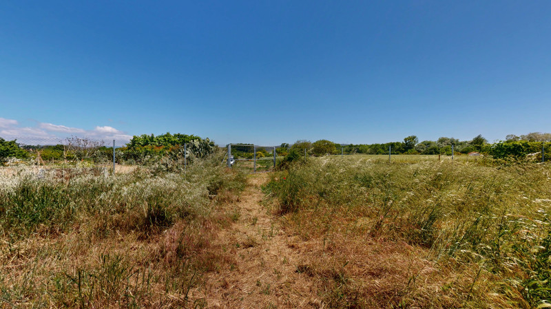Fincas y solares-Venta-Tafalla-1731641-Foto-6