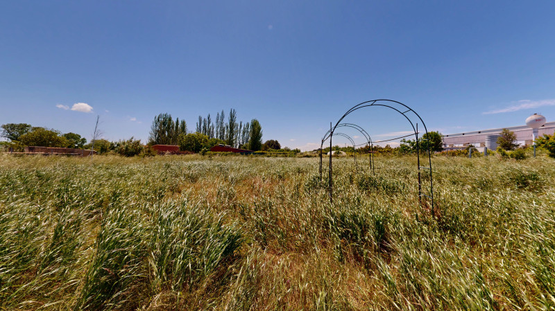 Fincas y solares-Venta-Tafalla-1731641-Foto-16