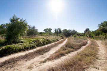 Jardín