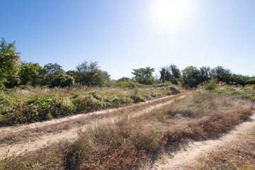 Jardín