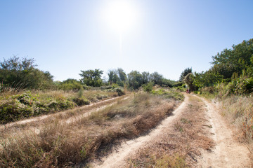 Jardín