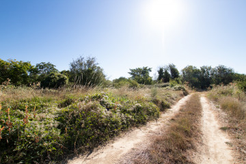 Jardín