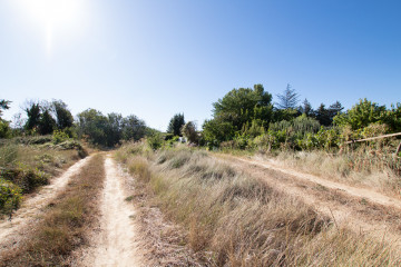 Jardín