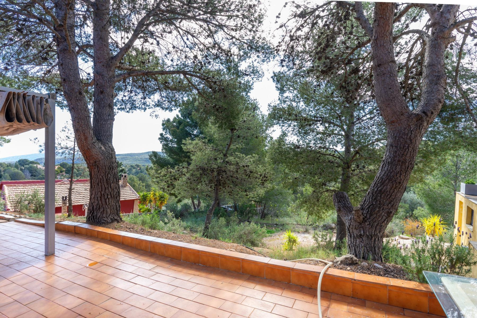 Casas o chalets-Venta-Mula-2201563-Foto-74