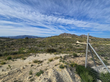 Fincas y solares-Venta-Molina de Segura-2207423-Foto-2-Carrousel
