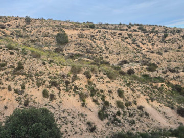 Fincas y solares-Venta-Molina de Segura-2207423