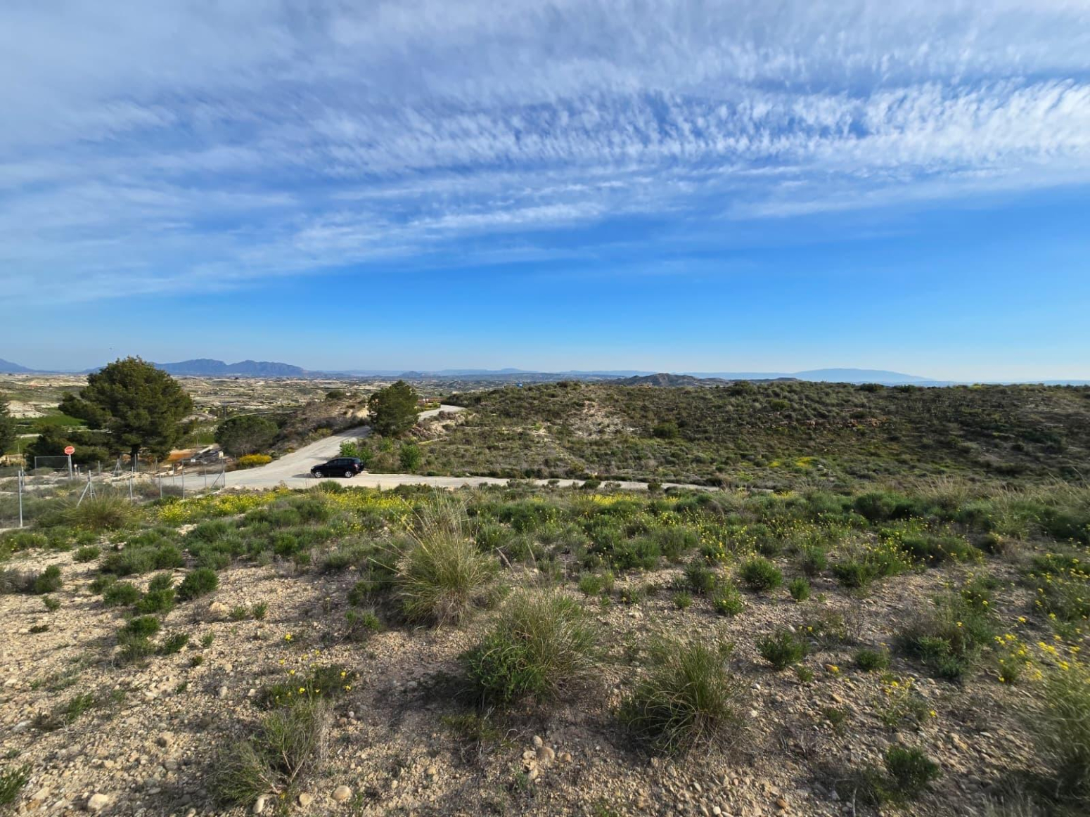 Fincas y solares-Venta-Molina de Segura-2207423-Foto-6