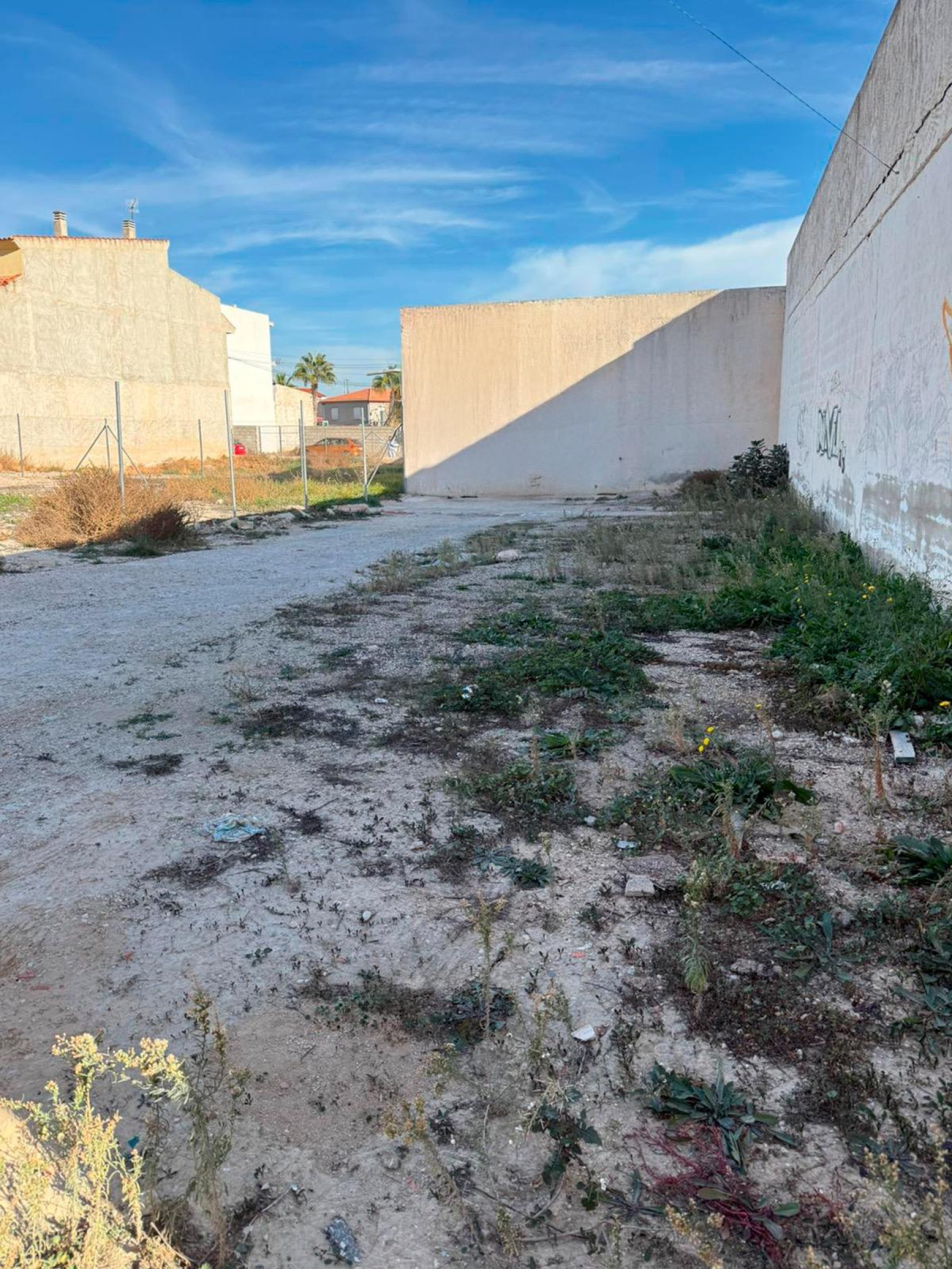 Fincas y solares-Venta-Las Torres de Cotillas-2332607-Foto-2