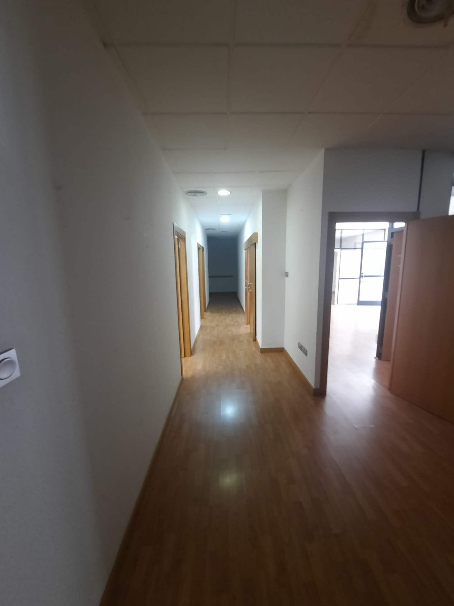 oficinas en murcia · av-pinos-9 1452€