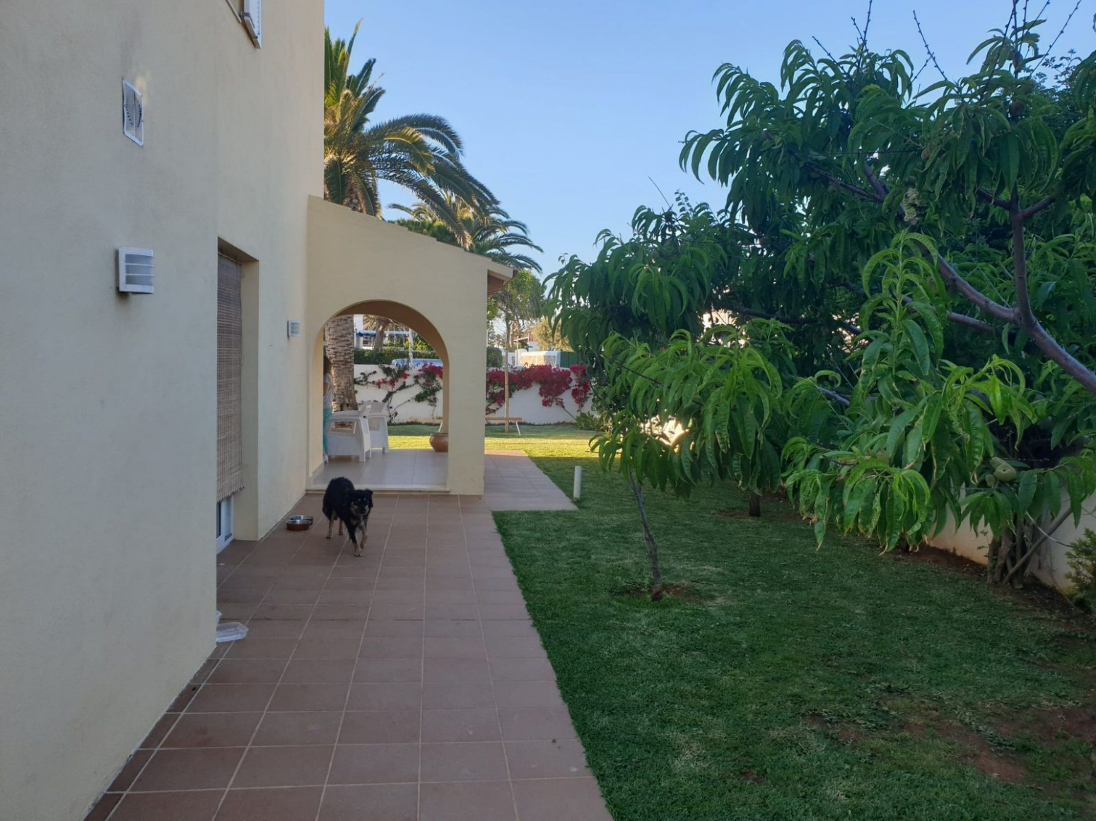 Casas o chalets-Venta-Ciutadella de Menorca-682778-Foto-51