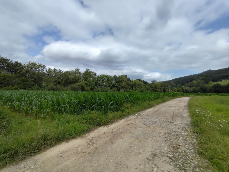 Fincas y solares en Venta en Guriezo