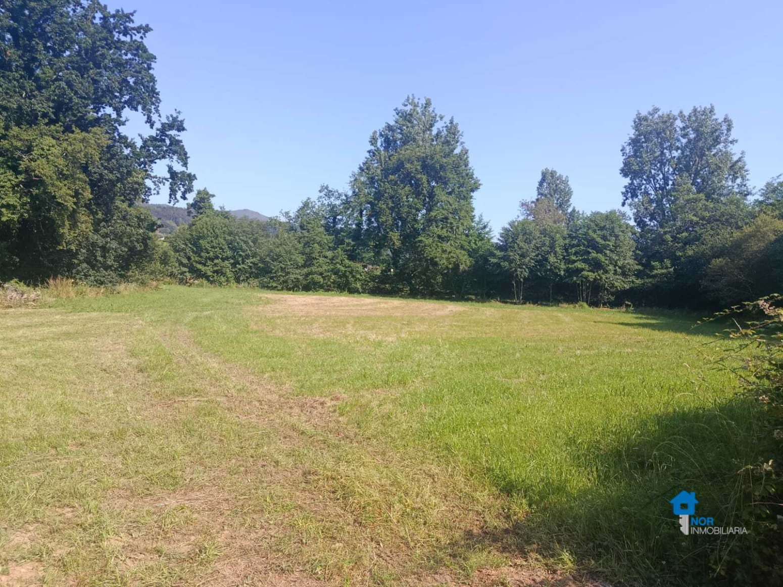 Fincas y solares-Venta-Rasines-2347522-Foto-3