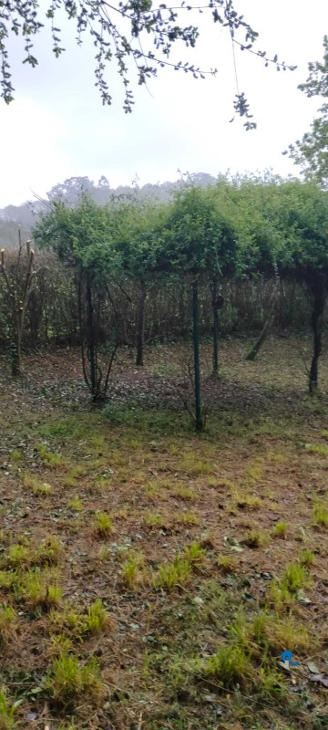 Fincas y solares-Venta-Rasines-2347522-Foto-17-Carrousel