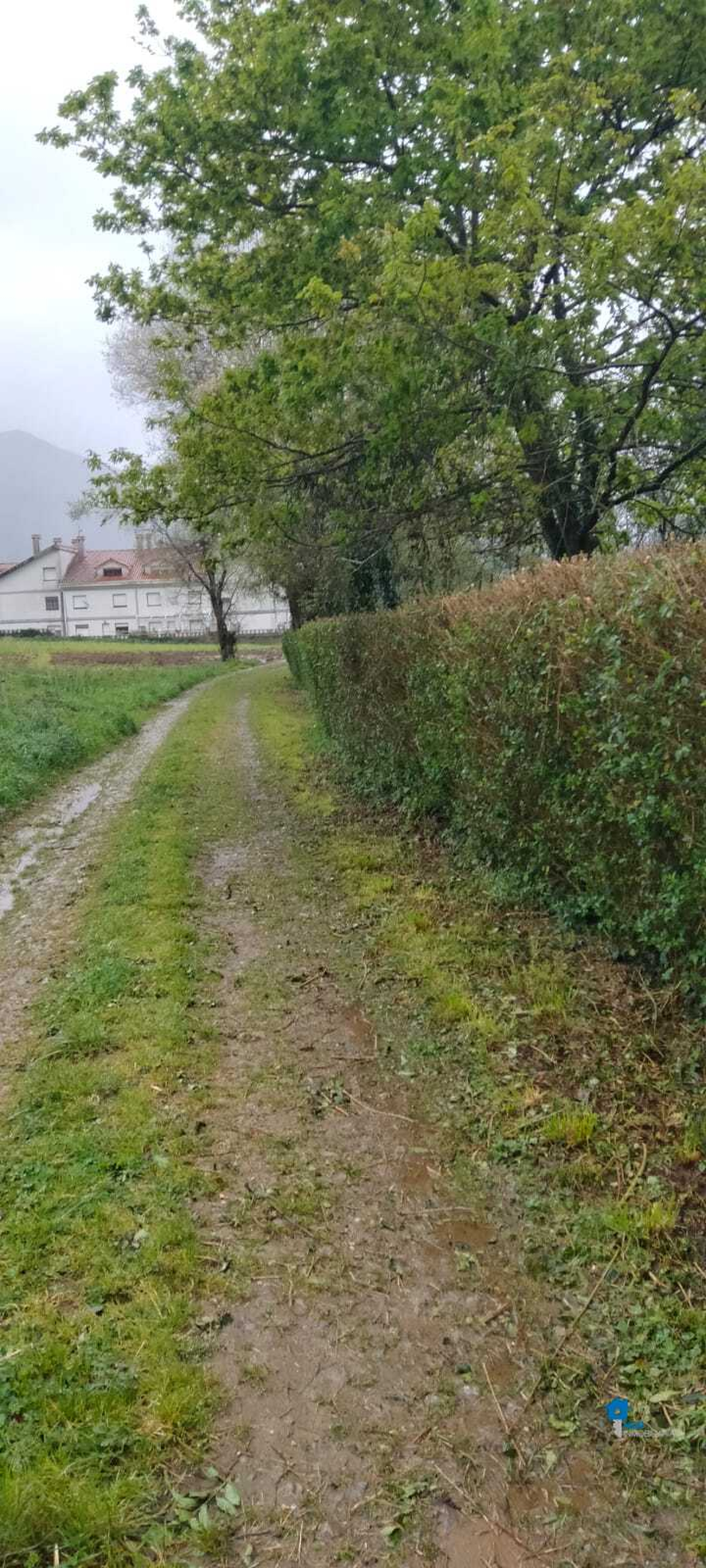 Fincas y solares-Venta-Rasines-2347522-Foto-11