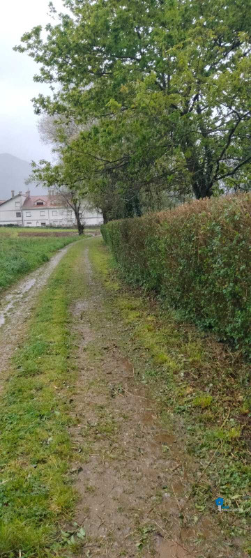 Fincas y solares-Venta-Rasines-2347522-Foto-10-Carrousel