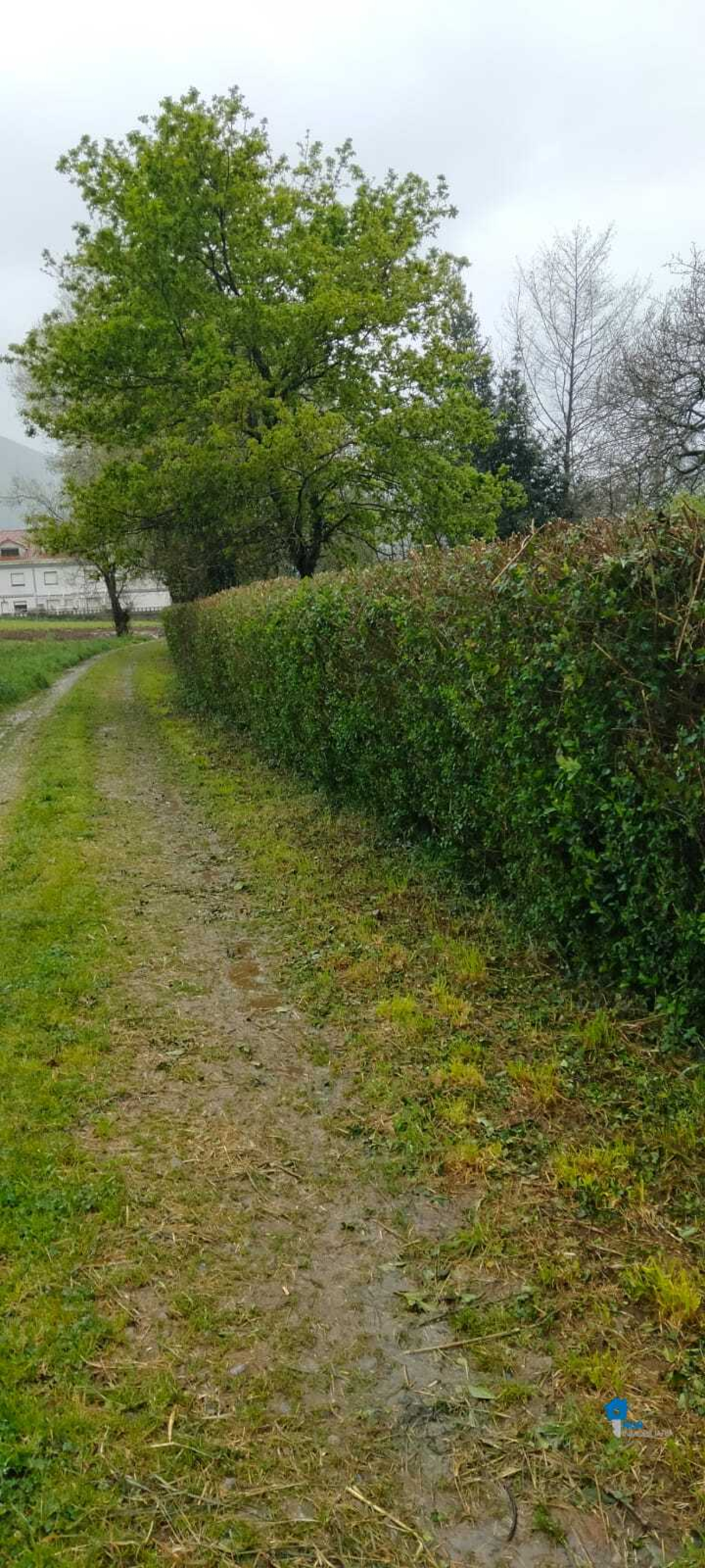 Fincas y solares-Venta-Rasines-2347522-Foto-9