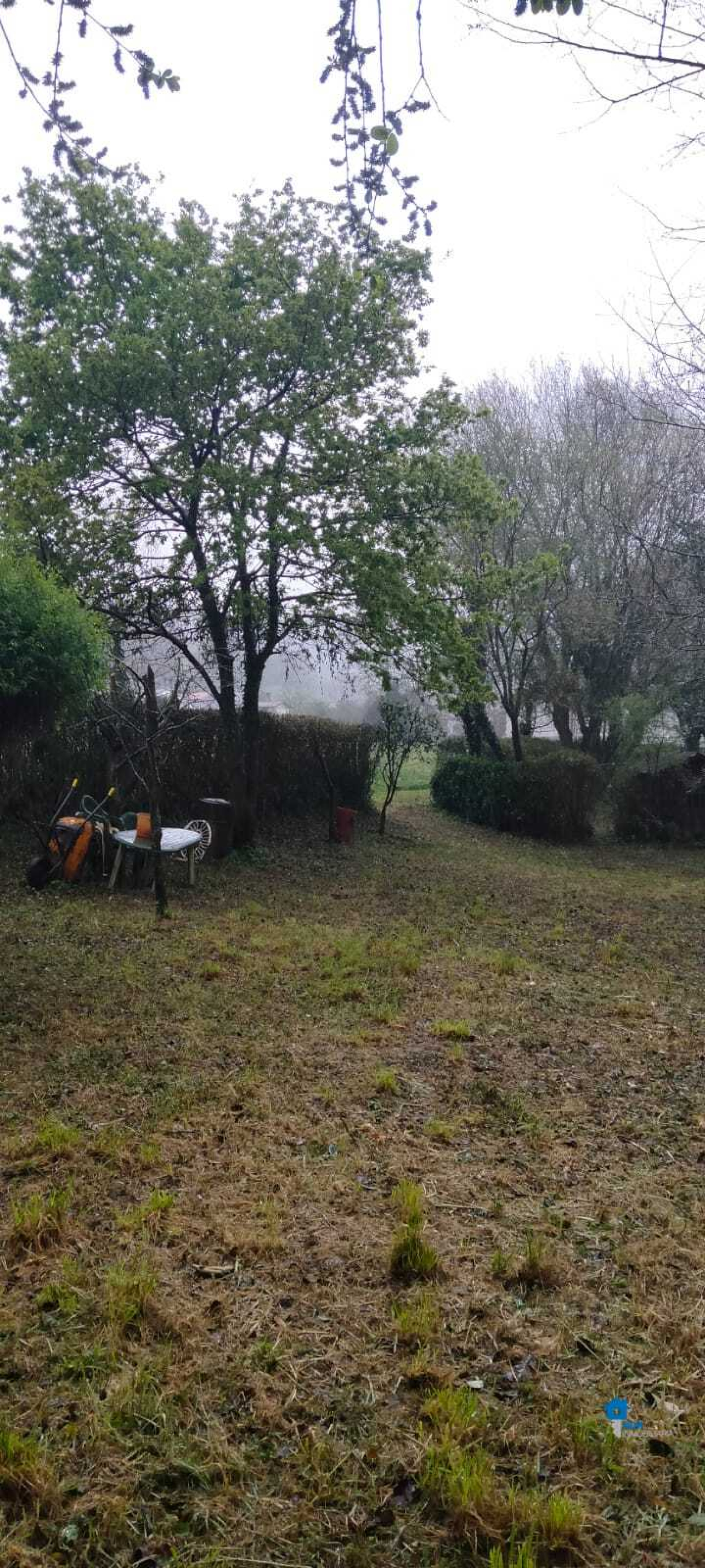 Fincas y solares-Venta-Rasines-2347522-Foto-20