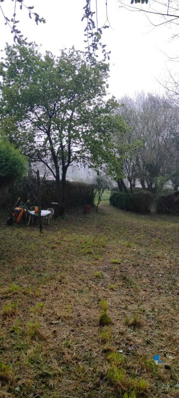 Fincas y solares-Venta-Rasines-2347522-Foto-19-Carrousel
