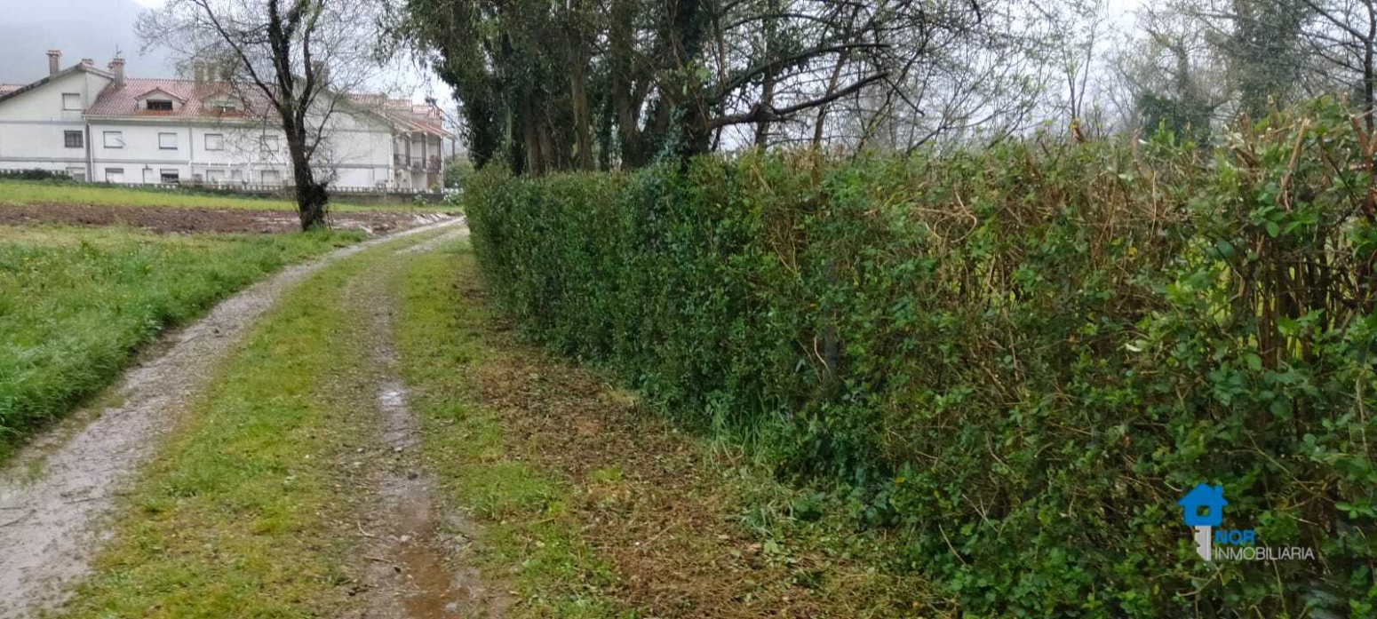 Fincas y solares-Venta-Rasines-2347522-Foto-15