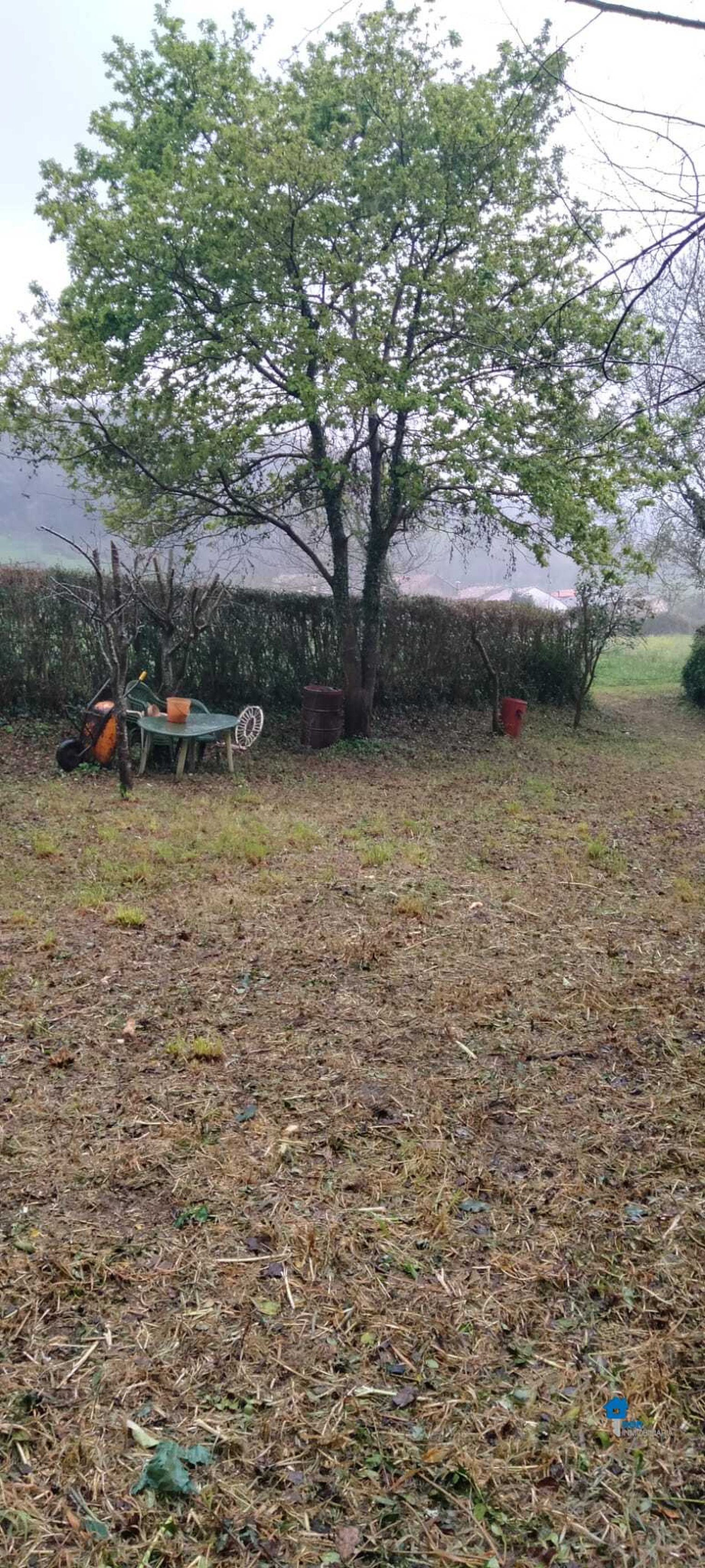 Fincas y solares-Venta-Rasines-2347522-Foto-21