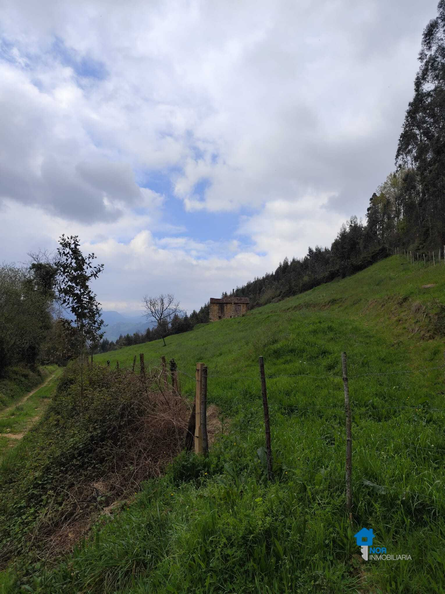 Casas o chalets-Venta-Rasines-2347543-Foto-4