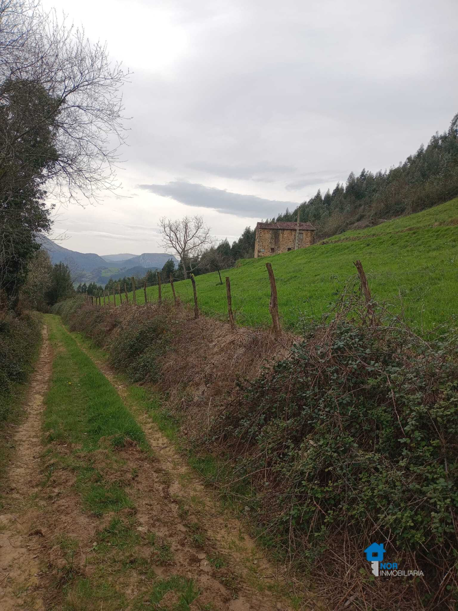 Casas o chalets-Venta-Rasines-2347543-Foto-16
