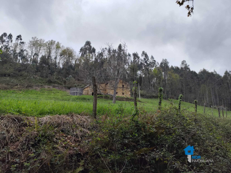 Finca rústica en venta en Barrio Rasines 934, Rasines