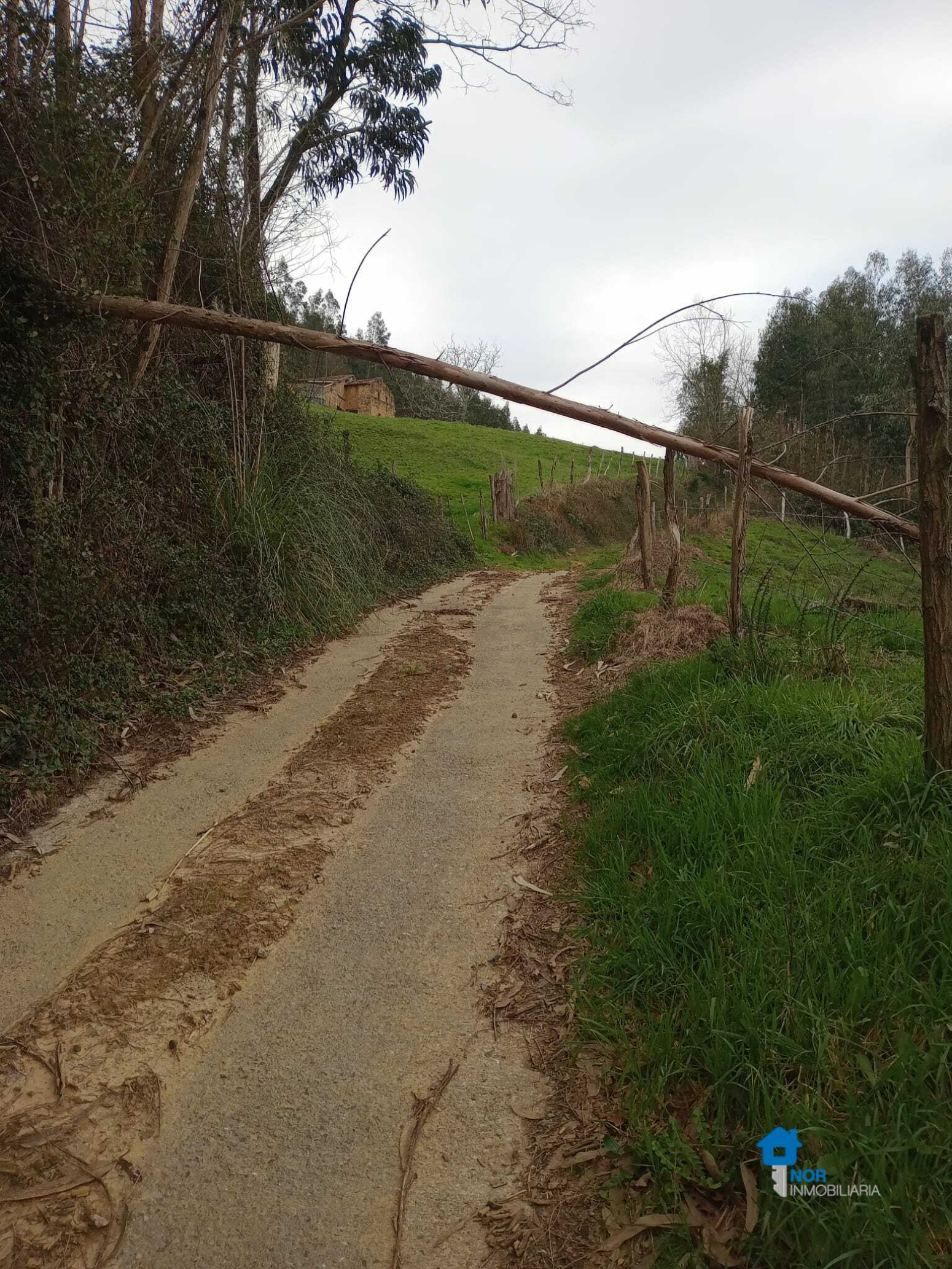 Casas o chalets-Venta-Rasines-2347543-Foto-17