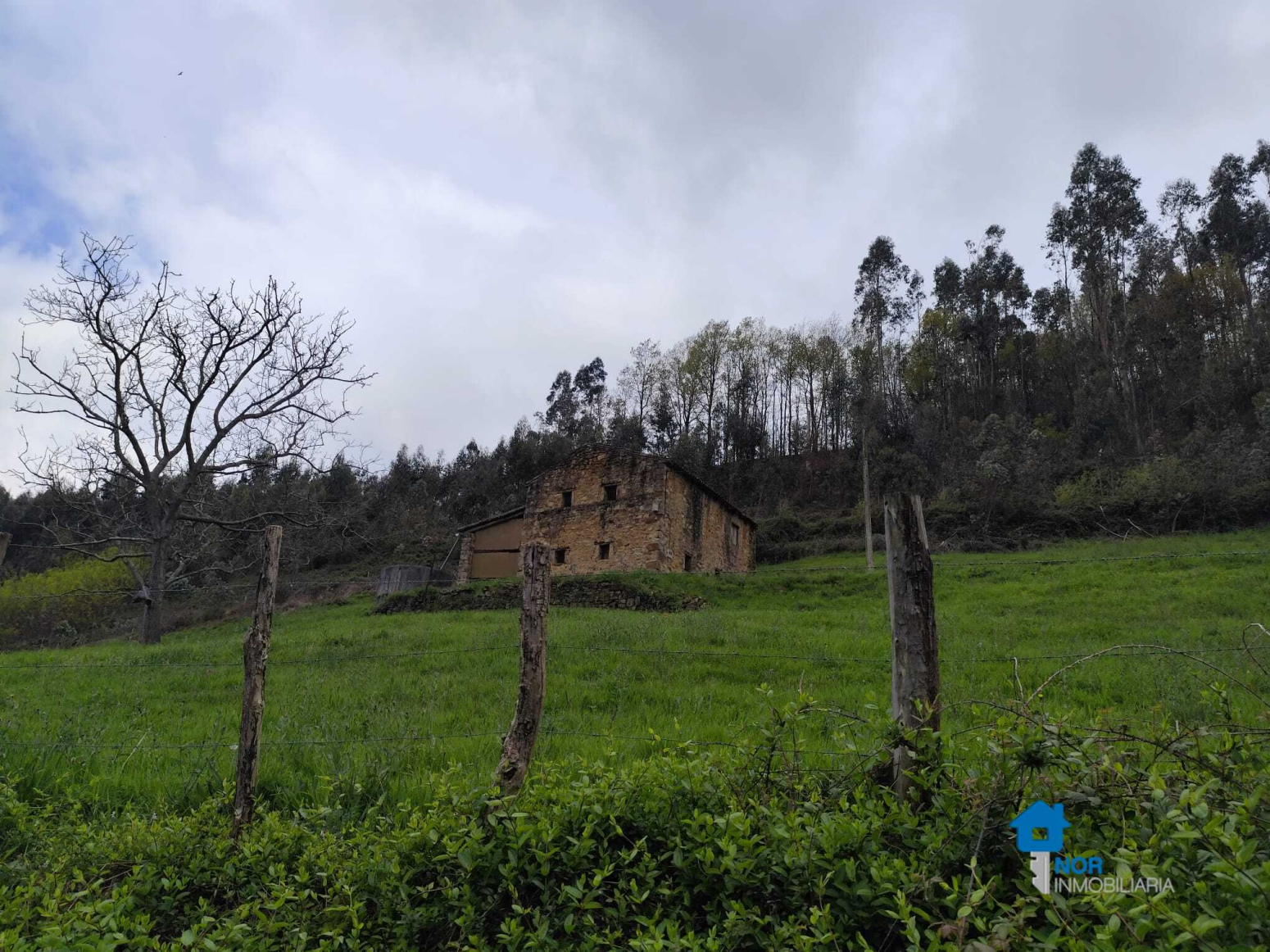 Casas o chalets-Venta-Rasines-2347543-Foto-15