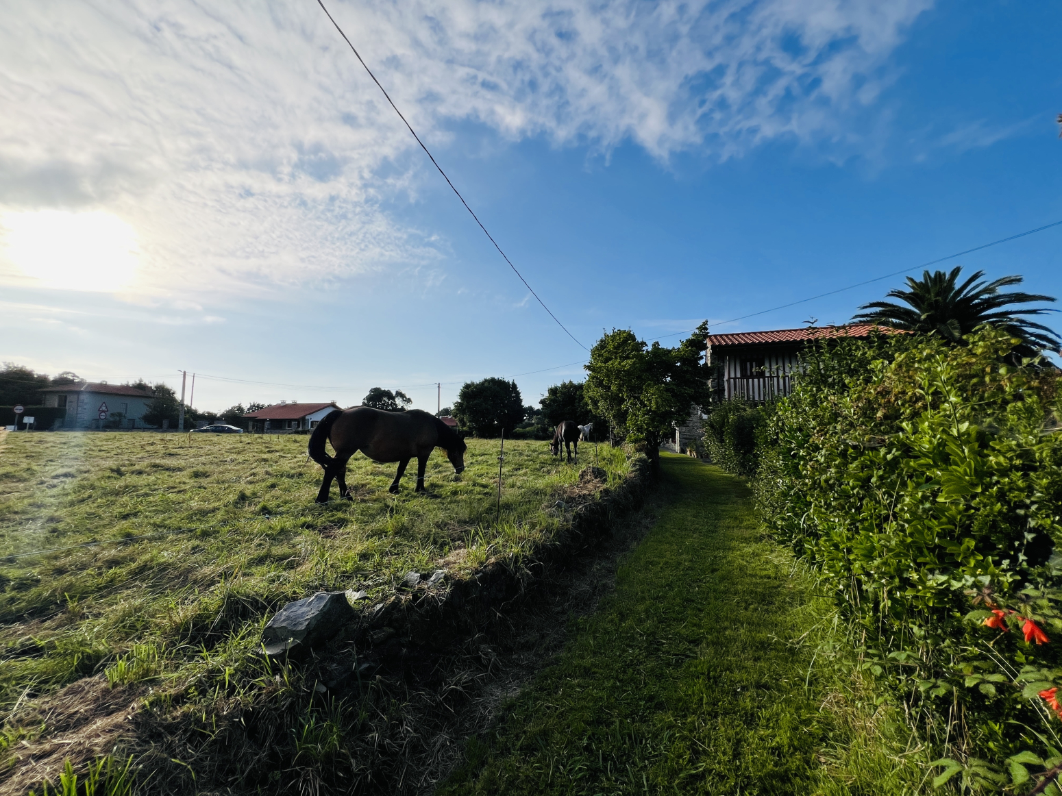 Fincas y solares-Venta-Cudillero-1395635-Foto-15