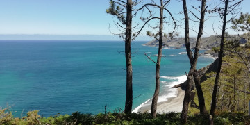 Casas o chalets-Venta-Cudillero-1718596-Foto-75-Carrousel