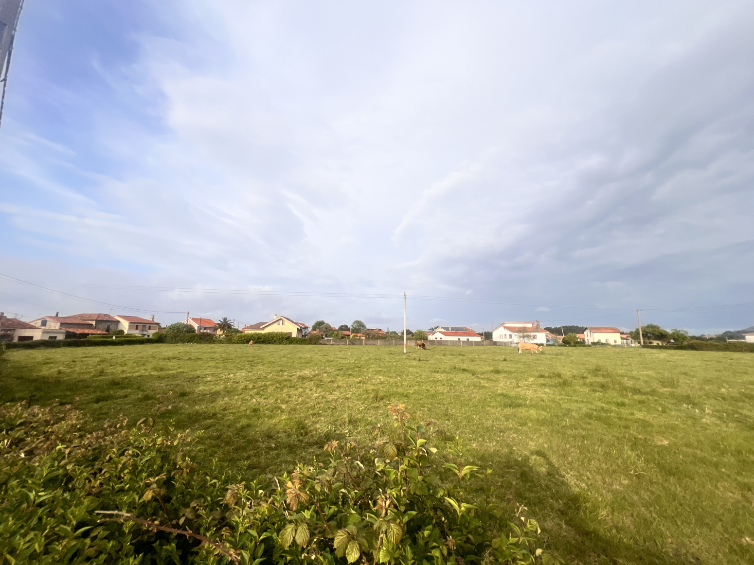 Fincas y solares-Venta-Cudillero-2249154-Foto-9