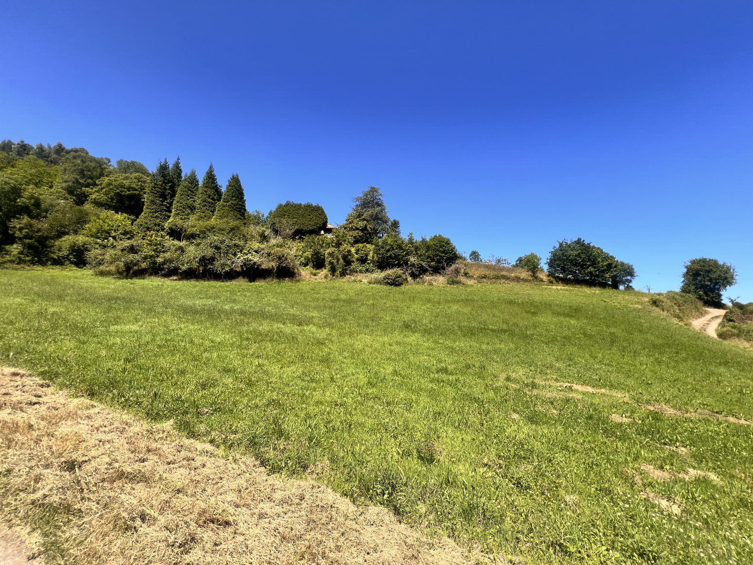 Fincas y solares-Venta-Cudillero-2353548-Foto-8