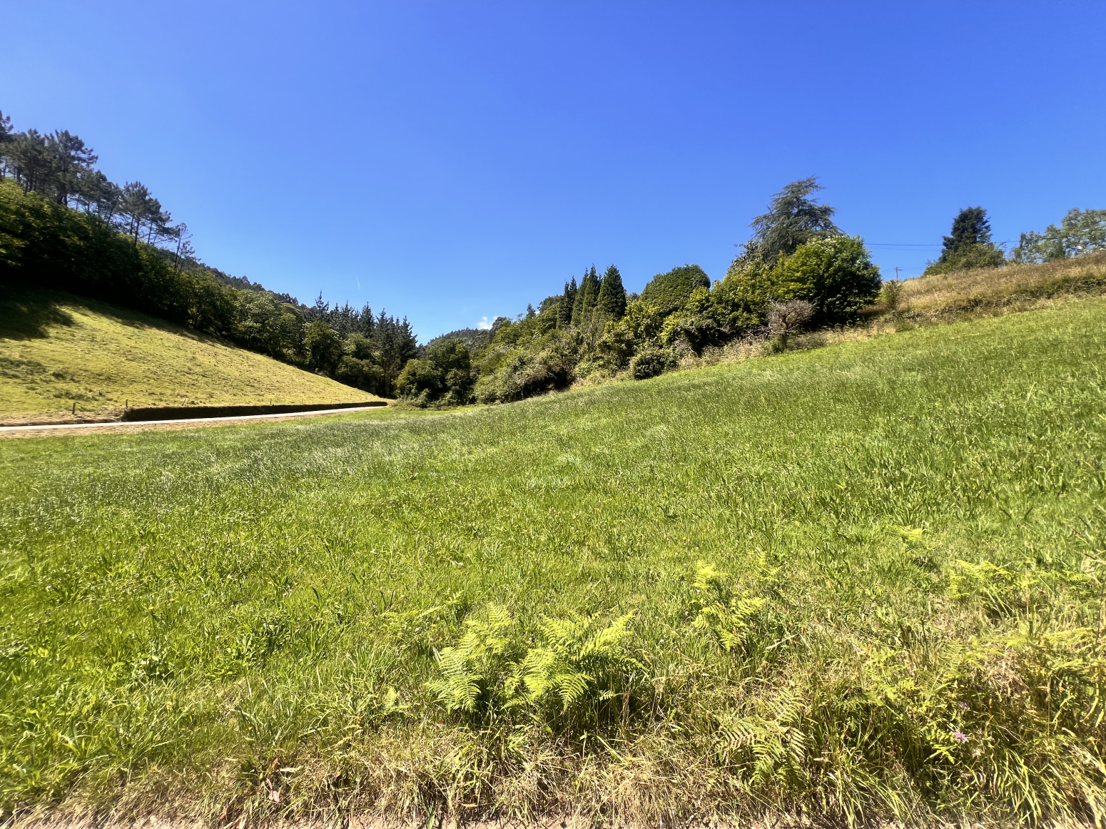 Fincas y solares-Venta-Cudillero-2353548-Foto-1