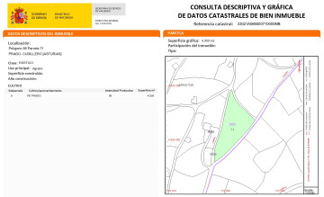 Fincas y solares-Venta-Cudillero-2353548-Foto-14-Carrousel
