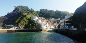 Negocios-Venta-Cudillero-2353801-Foto-68-Carrousel